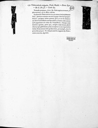 Tubercularia vulgaris image